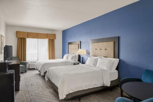 Voodi või voodid majutusasutuse Holiday Inn Express & Suites New Buffalo, MI by IHG toas