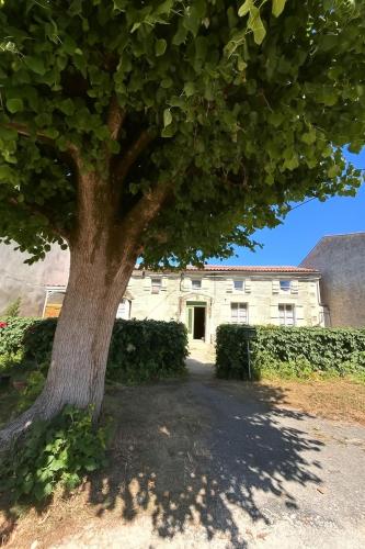 Gîte Le Logis du Tilleul