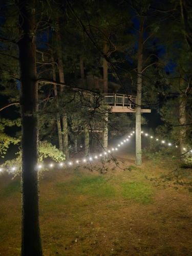 DuķuriにあるTreehouse Čiekursのギャラリーの写真