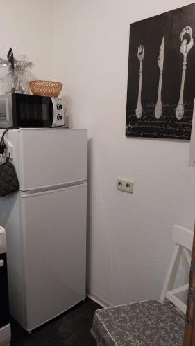 a white refrigerator in a kitchen with a picture on the wall at Beas Ferienglück in Busenberg