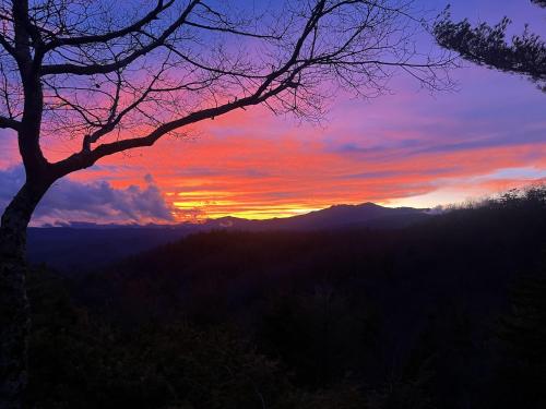a sunset in the mountains with a tree at Angels Envy in Blowing Rock