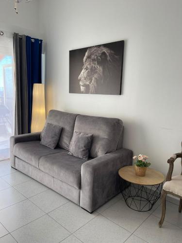 a grey couch in a living room with a lion picture at Super Monaco 2 in Beausoleil