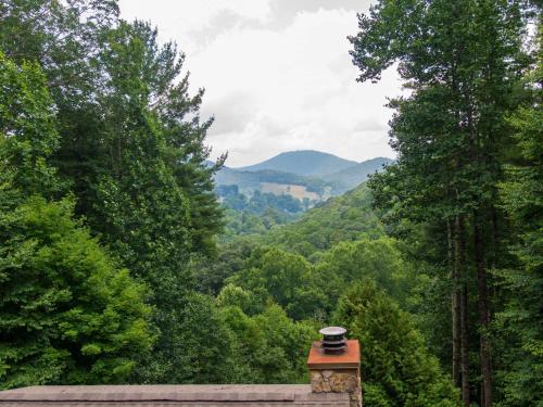 a view of a valley with trees and a chimney at 1 Relaxing Place in Todd
