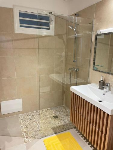 a bathroom with a shower and a sink at Soleil éclatant in Sainte-Anne