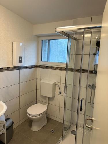 a bathroom with a toilet and a glass shower at Landgasthaus Klosterhof in Fischbach