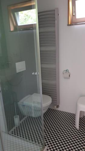 a bathroom with a glass shower with a toilet at Ferienwohnung am Römischen Haus in Weimar