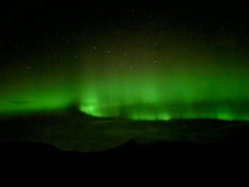 an image of the northern lights in the sky at Guesthouse Mikael in Höfn
