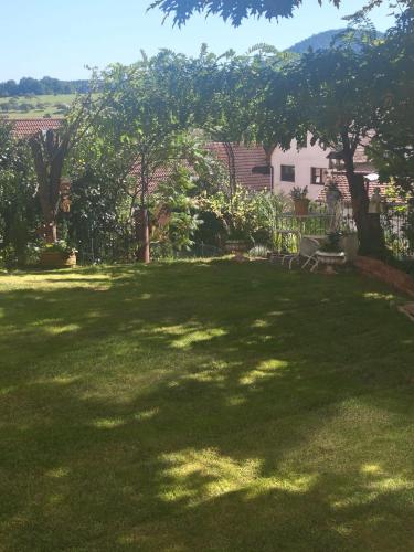 a green yard with a bench and trees at Beas Ferienglück in Busenberg