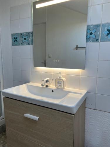 a bathroom with a sink and a mirror at O'Jade Vincent 2 I Parking I Wifi I Près de la gare in Orléans
