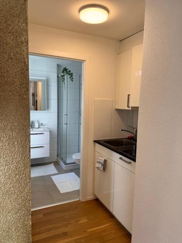 a bathroom with a sink and a toilet in a room at Mc Solutions Apartment im Zentrum in St. Gallen