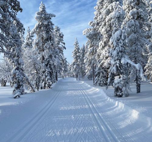 a snow covered path through a forest with snow covered trees at Atmospheric log cabin by the ski tracks in Ylläsjärvi