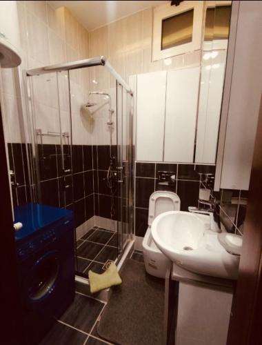a bathroom with a toilet and a sink and a shower at Niš Apartment in Niš