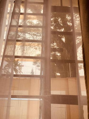 a reflection of a tree in a window of a building at Pamito Sunny Paradise in Diani in Diani Beach