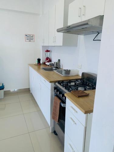 Kuchyň nebo kuchyňský kout v ubytování Plataview Apartahotel apt 4A