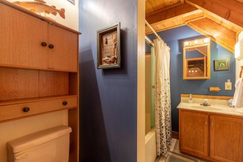 a bathroom with blue walls and a sink and a toilet at Apple Cove in Vilas