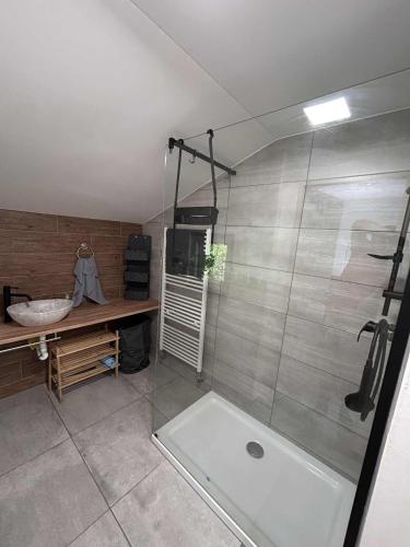 a bathroom with a shower and a tub and a sink at Chata Jizerky in Polubný