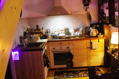 a small kitchen with a stove and a sink at budabu in Sighnaghi