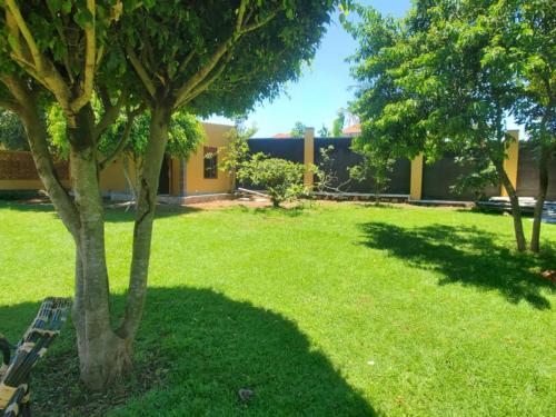 a park with a bench next to a tree at Gipir & Labango Ventures in Entebbe