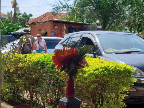 a vase with a red flower in front of a car at Gipir & Labango Ventures in Entebbe
