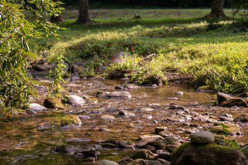 a stream of water with rocks in a field at Up the Creek in Linville