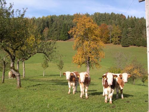 a group of cows standing in a field at Ferienhaus Lenzau in Strohmarkt