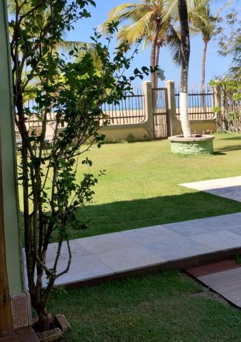 a small tree in a yard with palm trees at Pousada Chantilly in São Miguel do Gostoso