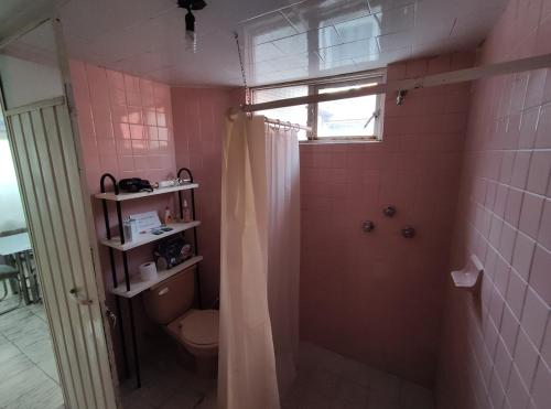 a pink bathroom with a shower and a toilet at Casa de los abuelos in Cholula