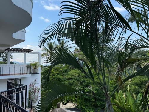 eine Palme auf dem Balkon eines Gebäudes in der Unterkunft Refugio Huasteco Hotel Boutique in Tamasopo
