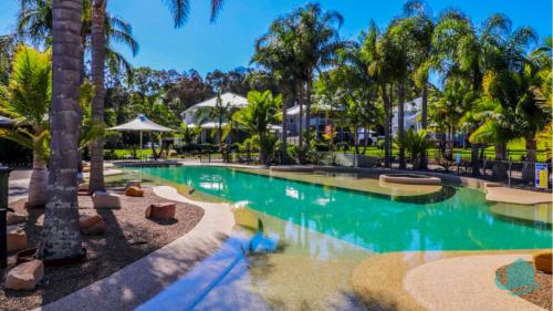 a pool at a resort with palm trees at Plover Executive Deluxe Villa 25 in Cams Wharf