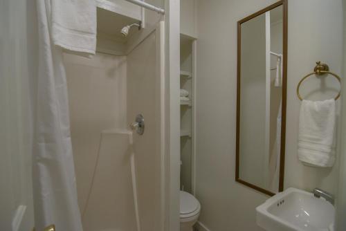 a bathroom with a shower and a toilet and a sink at Moore House Inn & Cabins in Marlinton
