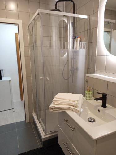 a bathroom with a shower and a sink at Badoumkassa in Welkenraedt