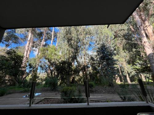 a view from a window of a park with trees at Bosque y mar de Papudo in Papudo