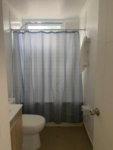 a bathroom with a toilet and a shower curtain at Bosque y mar de Papudo in Papudo