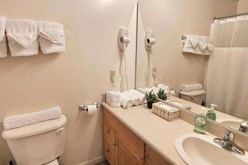 a bathroom with a toilet and a sink and a mirror at Spacious 2BR Loft - near CSU, Playhouse, Progressive field, R&R Hall of Fame - Gym & Sauna in Cleveland