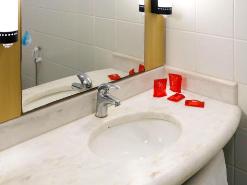 Un baño de ibis Santos Gonzaga Praia
