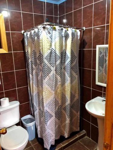 a bathroom with a shower curtain and a toilet at Cabañas Vista al Paine in Torres del Paine