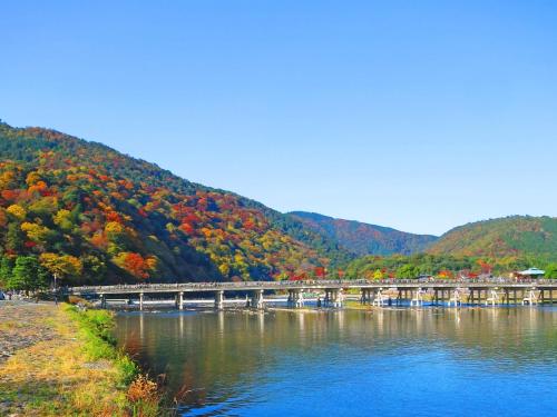 アパートメントの近くで見られる自然の景観