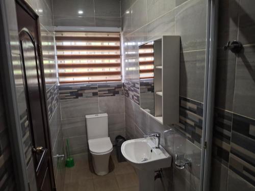 a small bathroom with a toilet and a sink at Douglas Luxury Apartments At Douglas Court, Adenta, Accra in Accra