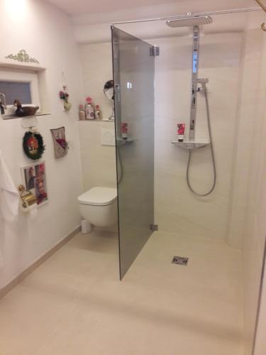 une salle de bain avec douche et toilettes dans l'établissement Wohnen & Schlafen im Cottage, à Wundschuh