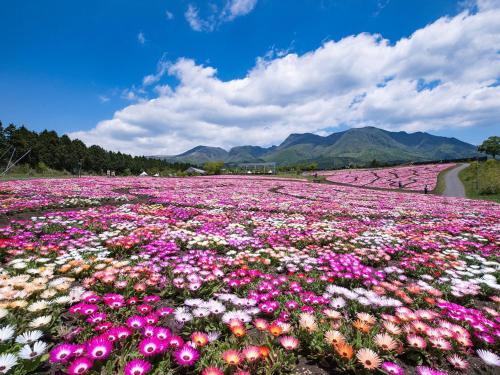 Gallery image of Beetopia in Minamioguni