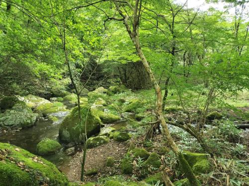 Gallery image of Beetopia in Minamioguni