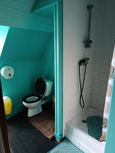 a blue bathroom with a toilet and a shower at Auberge Du Bon Coin in Moulins-Engilbert