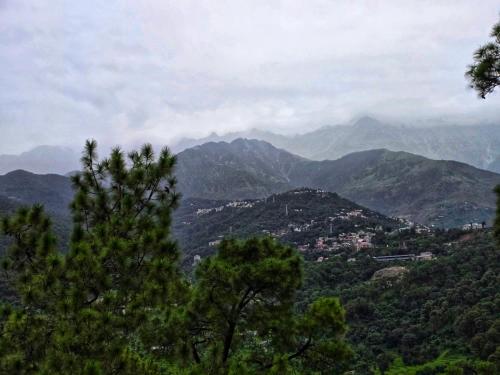 a view of a mountain range with trees in the foreground at Amoda - Best Hotel in Dharamshala in Dharamshala