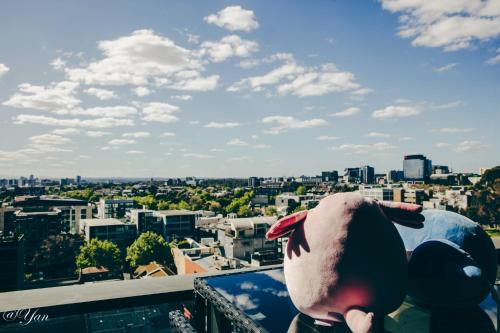 a stuffed animal is sitting on top of a building at Trainer's Cozy Home - Town of Beginnings マサラタウンのトレーナーのおうち in Melbourne
