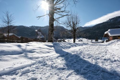 a pile of snow with a tree in the background at SeeHotel & SeeApartments Kärntnerhof- direkt am See! in Weissensee