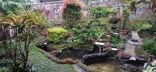 バンドンにあるOYO 94801 Pad Guest Houseの池と多植物の庭園