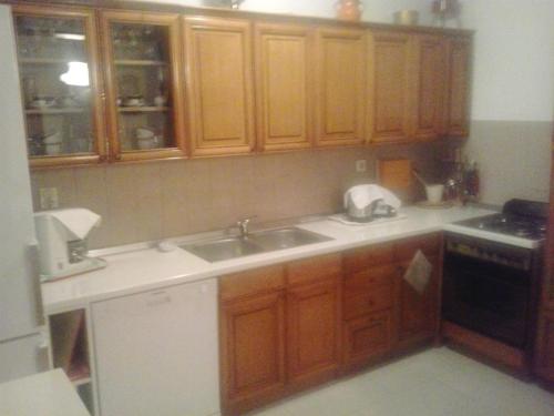 Apartment Zeljka tesisinde mutfak veya mini mutfak