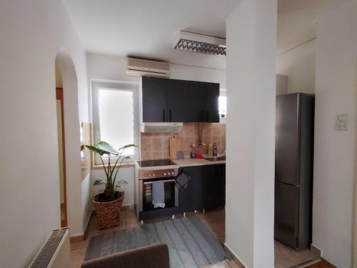 ノヴィサドにあるApartman Matica Srpska sa garazomのキッチン(黒いキャビネット、ステンレス製の冷蔵庫付)