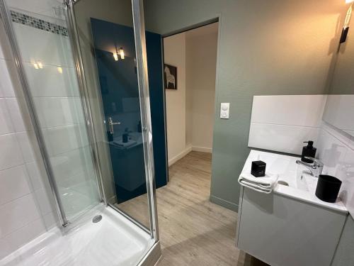 a bathroom with a shower and a sink at C Helsinki - Studio cosy près du centre-ville in Charleville-Mézières