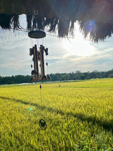 a field with an object in the grass at Pemsee's Tree Town - Eco-friendly,Tree house hostel in Sauraha